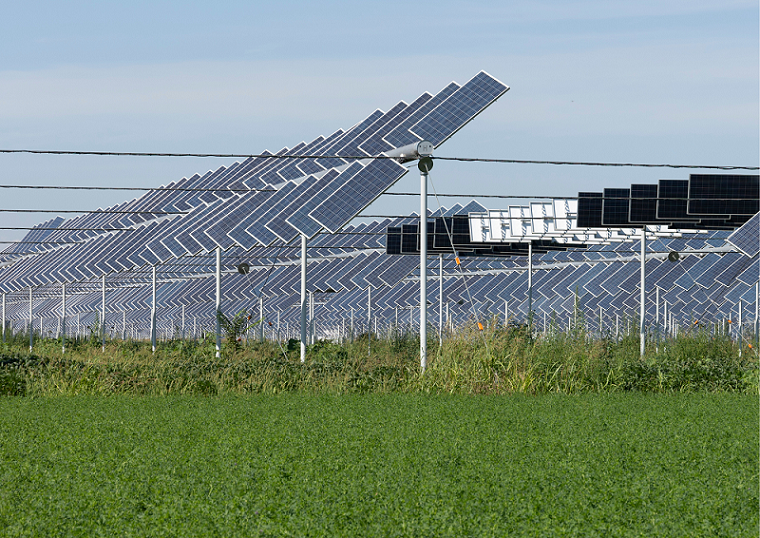 Agrivoltaico: la combinazione sostenibile di agricoltura ed energia fotovoltaica